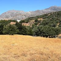 Land plot in Greece, 8000 sq.m.