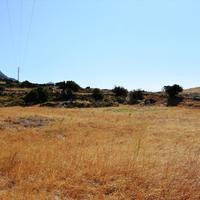 Land plot in Greece, 8000 sq.m.