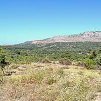 Land plot in Greece, 2000 sq.m.
