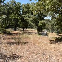 Land plot in Greece, 2000 sq.m.