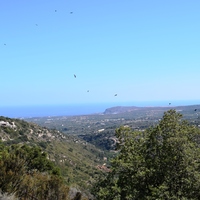 Land plot in Greece, 3500 sq.m.