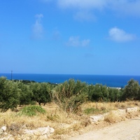 Land plot in Greece, 20000 sq.m.