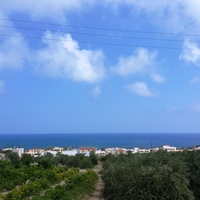 Land plot in Greece, 20000 sq.m.