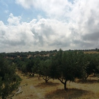 Land plot in Greece, 20000 sq.m.