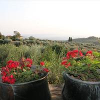 Other in Greece, 70 sq.m.