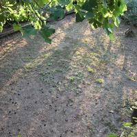 Other in Greece, 70 sq.m.