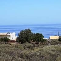 Land plot in Greece, 4000 sq.m.