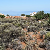 Land plot in Greece, 4000 sq.m.