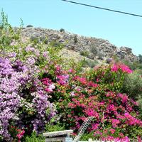 Другое в Греции, 93 кв.м.