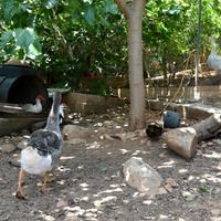 Другое в Греции, 93 кв.м.