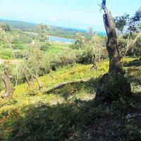 Land plot in Greece