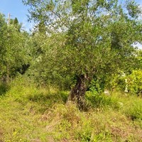 Other in Greece, 160 sq.m.