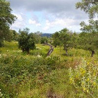 Земельный участок в Греции