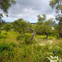 Земельный участок в Греции