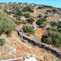 Land plot in Greece