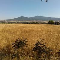 Land plot in Greece
