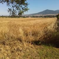 Land plot in Greece