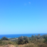 Land plot in Greece, 4343 sq.m.