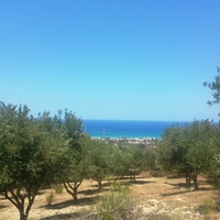 Land plot in Greece, 4343 sq.m.
