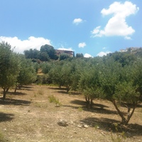 Land plot in Greece, 4343 sq.m.