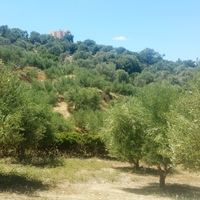 Land plot in Greece, 4343 sq.m.