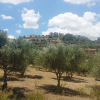 Land plot in Greece, 4343 sq.m.