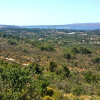 Land plot in Greece, 4000 sq.m.