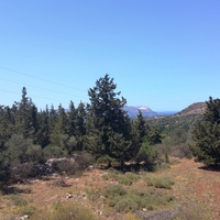 Land plot in Greece, 4000 sq.m.