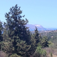 Land plot in Greece, 4000 sq.m.