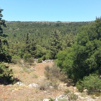 Land plot in Greece, 4000 sq.m.