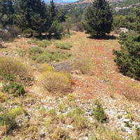 Land plot in Greece, 4000 sq.m.