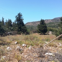 Land plot in Greece, 4000 sq.m.