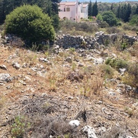 Land plot in Greece, 4000 sq.m.