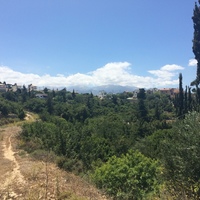 Земельный участок в Греции, 2000 кв.м.