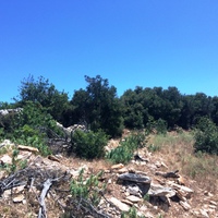 Земельный участок в Греции, 2000 кв.м.