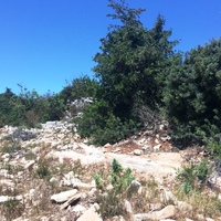 Земельный участок в Греции, 2000 кв.м.