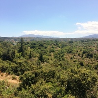 Земельный участок в Греции, 2000 кв.м.