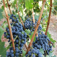 Business center in Greece, 400 sq.m.