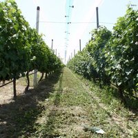 Business center in Greece, 400 sq.m.