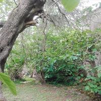 Земельный участок в Греции, 7500 кв.м.