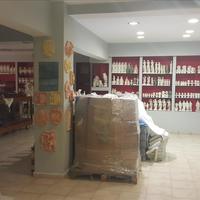 Business center in Greece, 1150 sq.m.