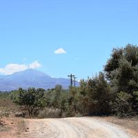 Land plot in Greece, 5000 sq.m.