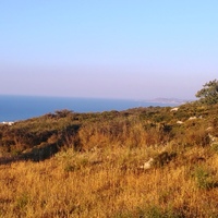 Land plot in Greece, 3000 sq.m.