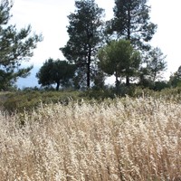 Land plot in Greece