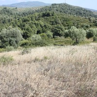 Land plot in Greece