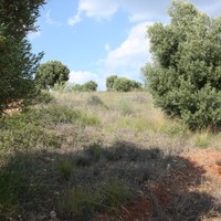 Land plot in Greece
