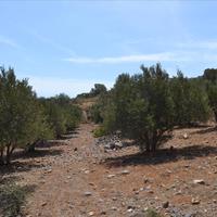 Land plot in Greece