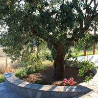 Другое в Греции, 204 кв.м.