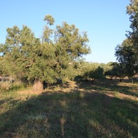 Другое в Греции, 204 кв.м.