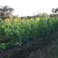 Другое в Греции, 204 кв.м.